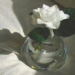 gardenia