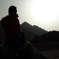 amr adel