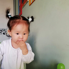 sans erdene