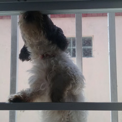 Halloween Nether 1 - Minecraft Mash Up Pack Music