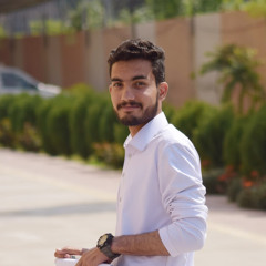 najib ullah