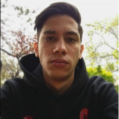 Miguel Andres Portillo