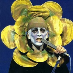 A FLOWER