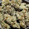 User 420
