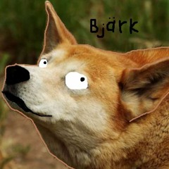 Anonymous Dingo Dog
