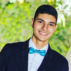 Mohammed Abdelatif