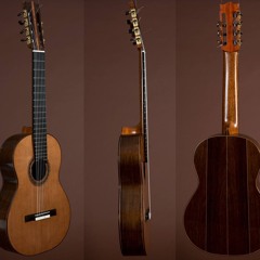 Klas Wounsch, gitarrist