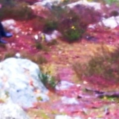 hairmony beauty center