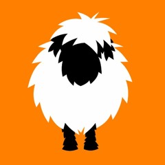 Abandoned Sheep