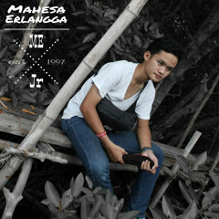 Mahesa Erlangga