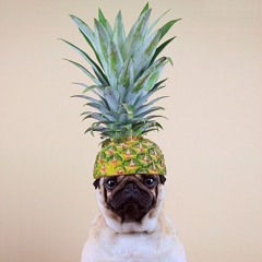 Alexandra Lazebnikova