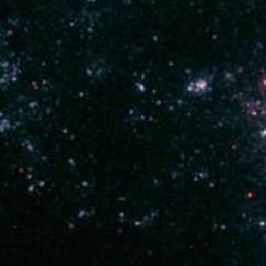 STILL A & FRITZ HERMANN