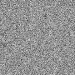 The Silent Noises