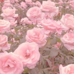 𝚃𝚒𝚛𝚎.𝚍_𝚊𝚎𝚜.𝚝𝚑𝚎𝚝𝚒𝚌𝚜