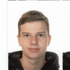 Den Dreisen