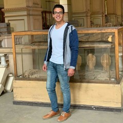 samir sayed