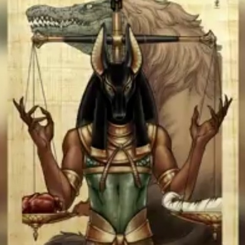 الشارع زحمة فيفتى والسادات