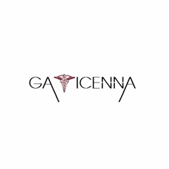 Gavicenna Remixes