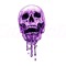 Lil_Fxsh
