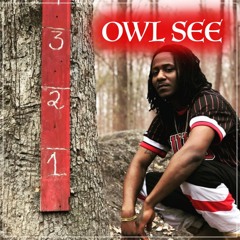 Solid - Owl See