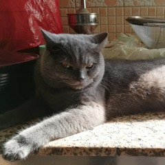 Faisal Abdulaziz Sherazi