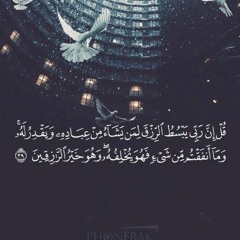 الشيخ محمود صابر الحجر والنحل بنايوس