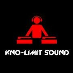 DJ Reckless-Knolimit