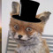 Vulpeshaun 2002