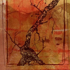 Animus