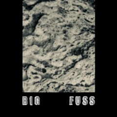 Big Fuss