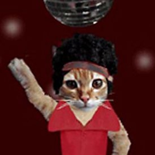 DJDiscoCat’s avatar