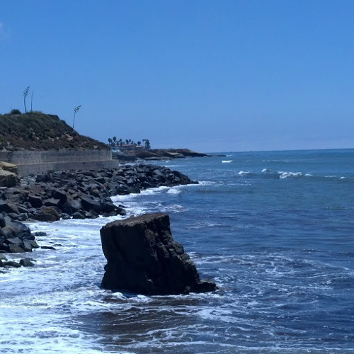 12 Steps From Home