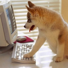 Никита Фильков