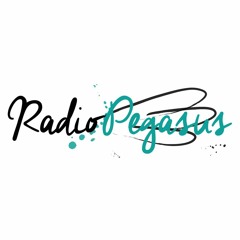 Radio Pegasus auf dem Southside Festival 2017 #2 mit Marcel Ferraro von der Polizei Tuttlingen