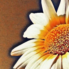 𝓟𝓾𝓵𝓵𝓲𝓷𝓰 𝓓𝓪𝓲𝓼𝓲𝓮𝓼