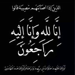 محمود بدر