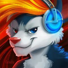 Kot_MGO
