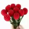 kishan giri