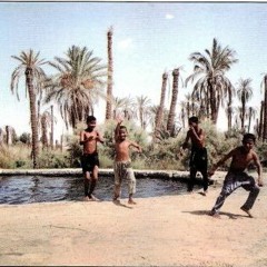 طارق فراج