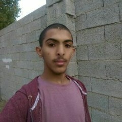 حسن محمد الأهدل