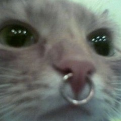 alli3t