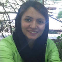 golnaz ahmadi