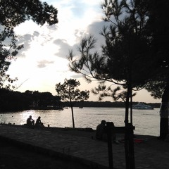 AriNomis