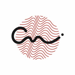 Capital Noise Management Group