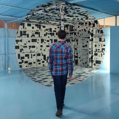 Mercuric Ornithopter