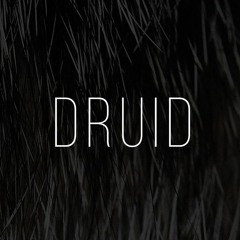 Druid