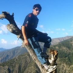 Sohail Musa