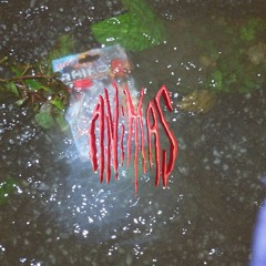 ANIMAS