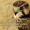 sameer