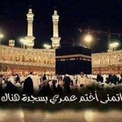 ahmed Eladawey